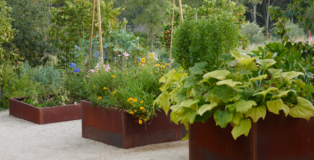 ASLA住宅景觀設計類榮譽獎：伍德賽德住宅區