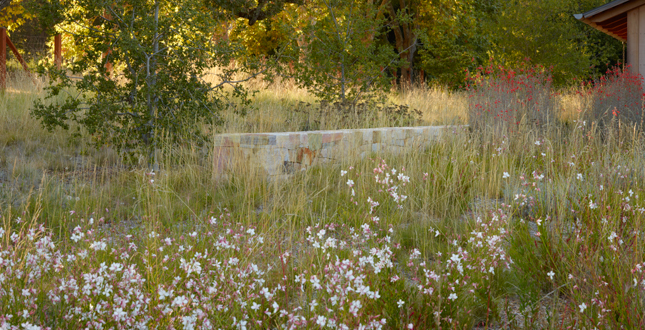 ASLA住宅景觀設(shè)計類榮譽獎：伍德賽德住宅區(qū)