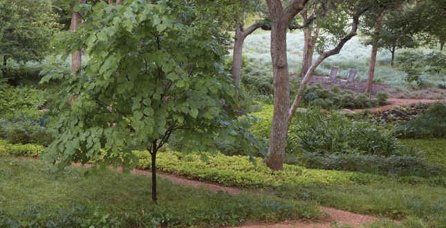 達(dá)拉斯莊園