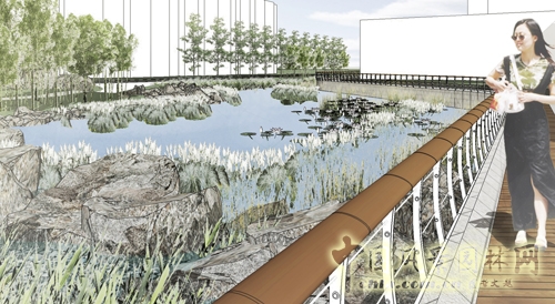 住宅景觀獎 園冶杯 濕地公園 景觀設(shè)計(jì)