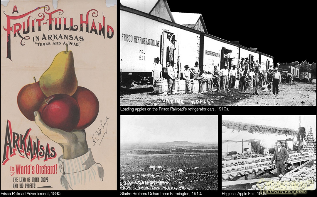 法明頓城市景觀規(guī)劃