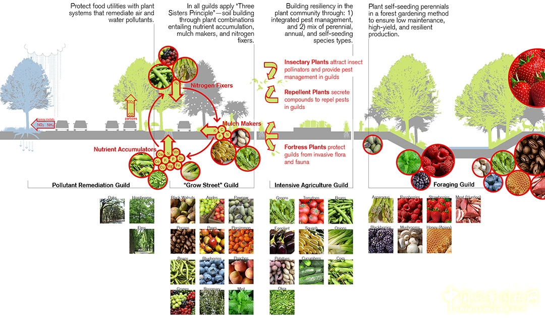 法明頓城市景觀規(guī)劃設(shè)計