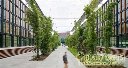 德國科隆Rheinpark-Metropole辦公空間景觀設(shè)計(jì)