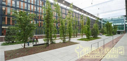 德國科隆Rheinpark-Metropole辦公空間景觀設計