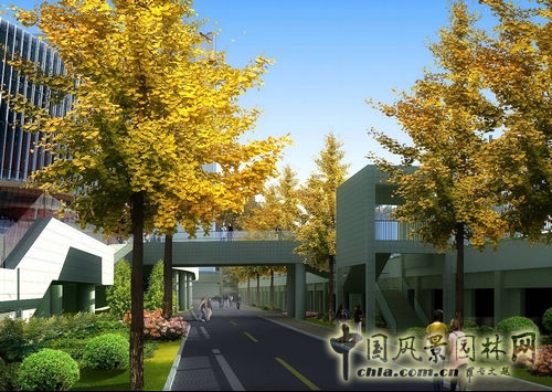 山東大學(xué) 景觀設(shè)計(jì) 環(huán)境設(shè)計(jì) 景觀方案