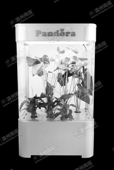 遠(yuǎn)程植物生長