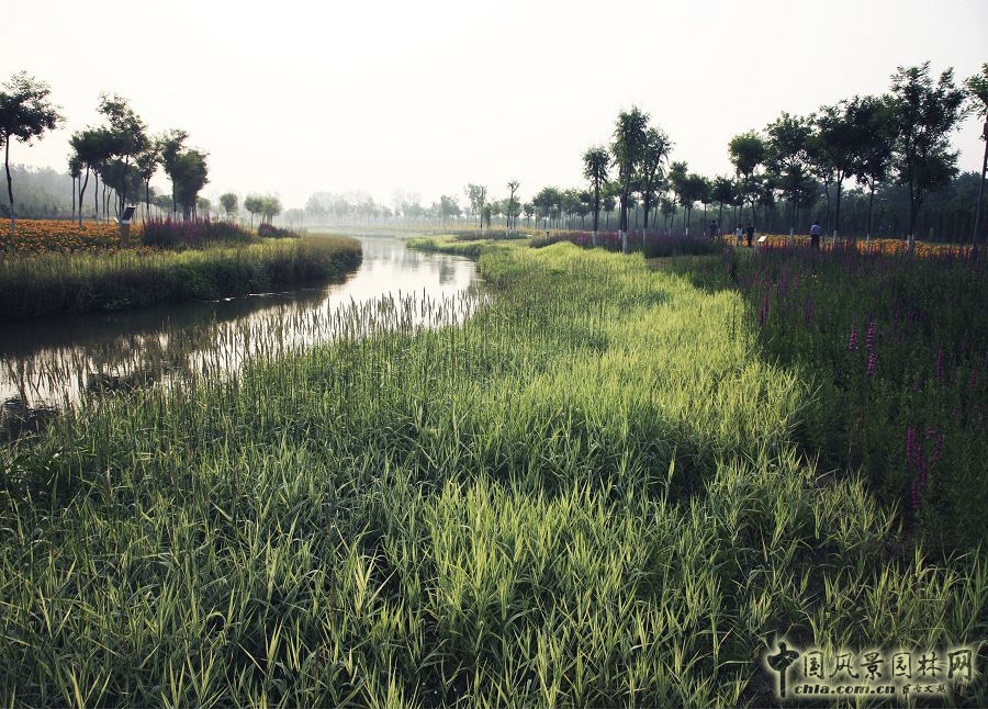 遷安三里河綠道