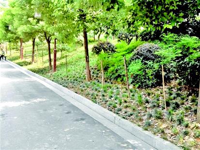 武漢黃鶴樓景觀帶用鐵絲網(wǎng)隔離