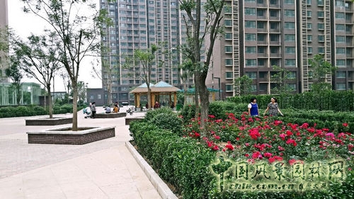 景觀設計 唐冶七村 安置房項目