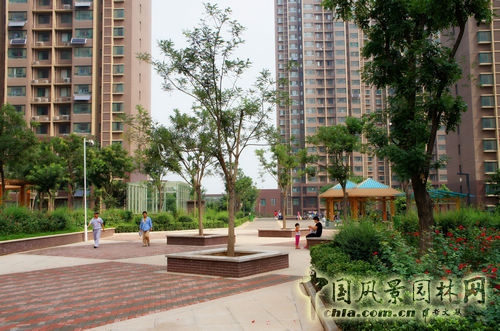 景觀設(shè)計 唐冶七村 安置房項目