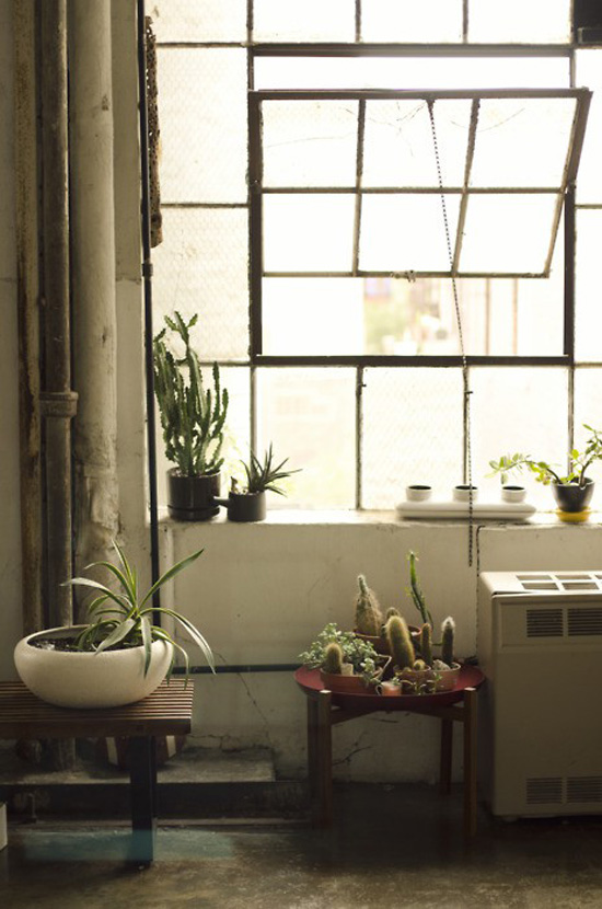 14個綠意空間 青春型室內軟裝風潮