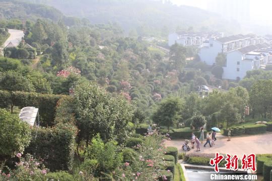 雙龍紫薇園內的游客。