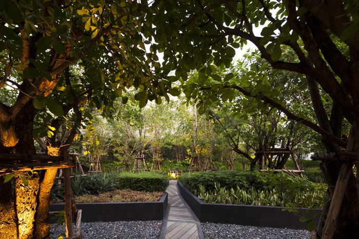 曼谷拉普繞18號公寓花園景觀設計