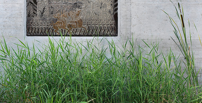 ASLA住宅景觀設計類榮譽獎