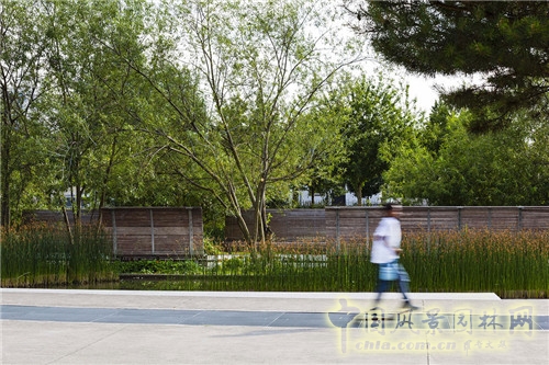 法國南泰爾市Chemin公園