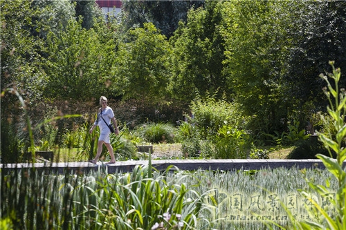 法國南泰爾市Chemin公園