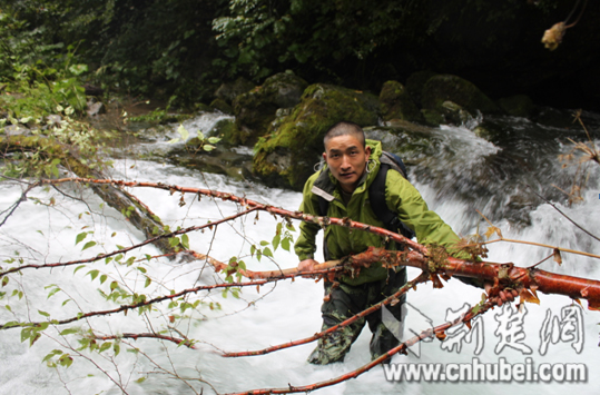 工作人員拉著被枯木和洪水沖倒的林木過河