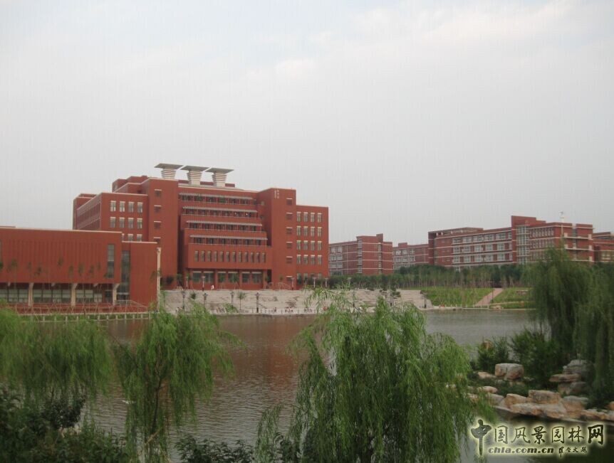 景觀設計 景觀方案 施工圖設計 山東大學