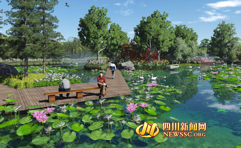 成華區 熊貓濕地 北湖熊貓濕地