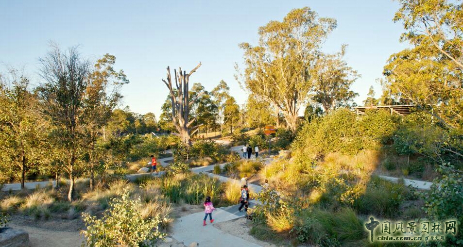 悉尼Lizard Log 公園