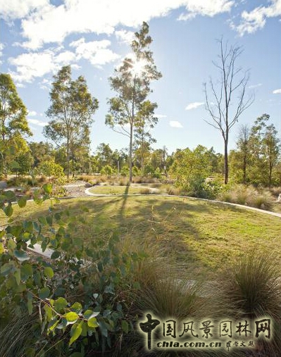 悉尼Lizard Log 公園
