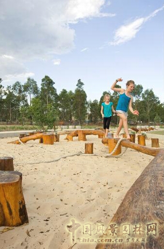 悉尼Lizard Log 公園