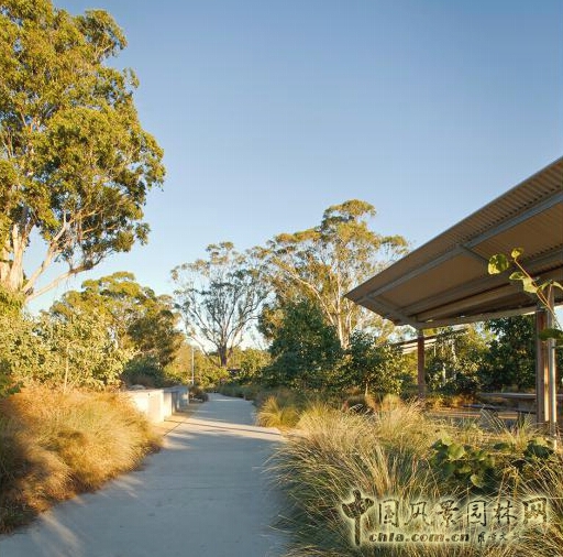 悉尼Lizard Log 公園