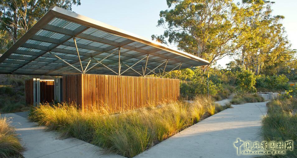 悉尼Lizard Log 公園