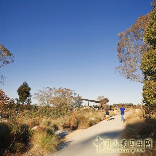 悉尼Lizard Log 公園