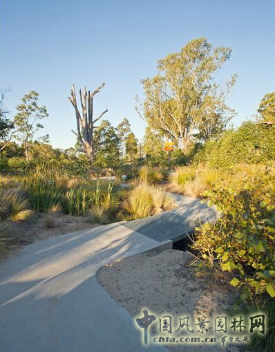 悉尼Lizard Log 公園