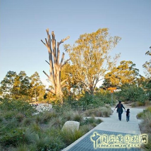 悉尼Lizard Log 公園