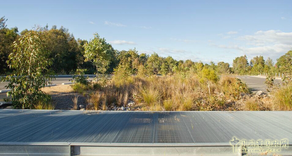 悉尼Lizard Log 公園