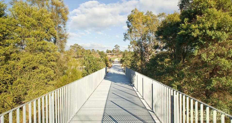 悉尼Lizard Log 公園