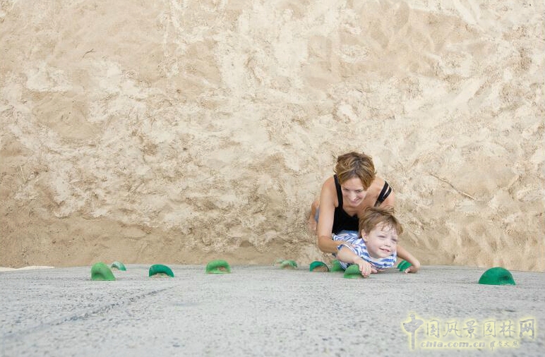 悉尼Lizard Log 公園