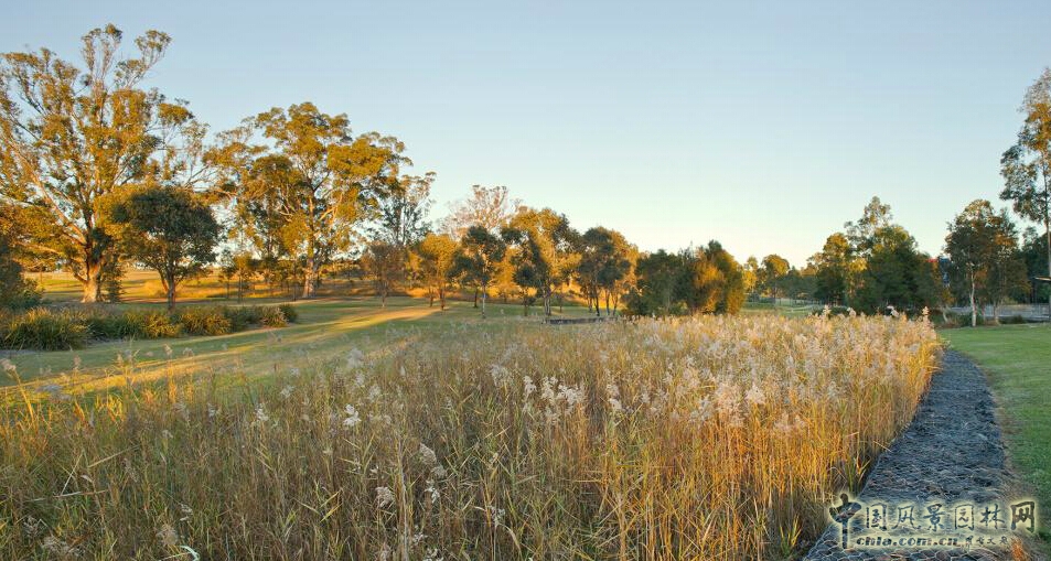 悉尼Lizard Log 公園
