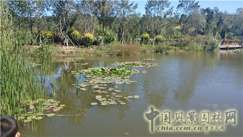 北京園博園“盧溝曉月?中秋傳情”