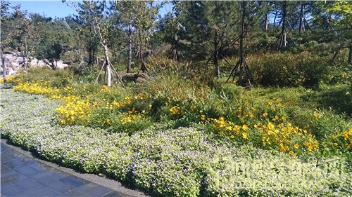 北京園博園“盧溝曉月?中秋傳情”