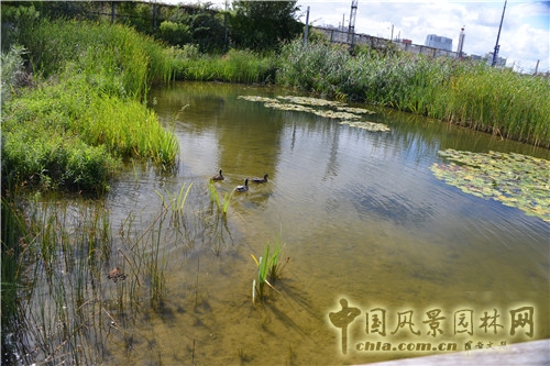 克里希?巴蒂尼奧勒公園