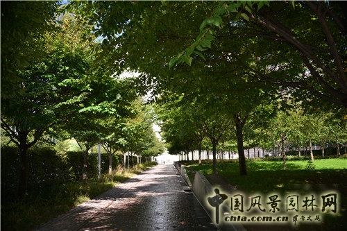 克里希?巴蒂尼奧勒公園