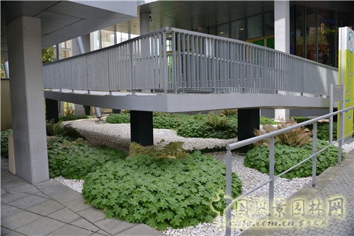 里爾林中社區(qū)