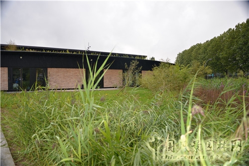 島嶼生態(tài)公園