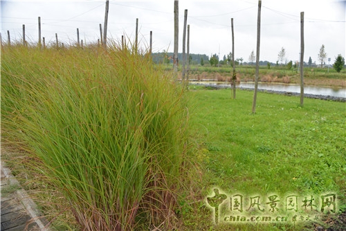 島嶼生態(tài)公園