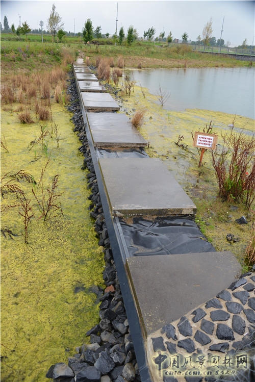 島嶼生態(tài)公園