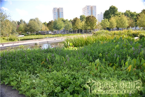 法國南泰爾市Chemin公園