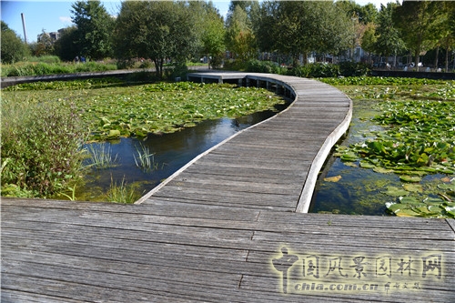 法國南泰爾市Chemin公園