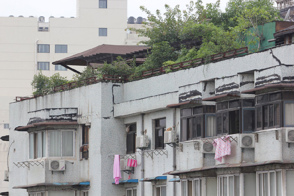 武漢居民樓頂藏“空中花園”