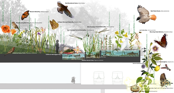 舊金山transbay客運中心