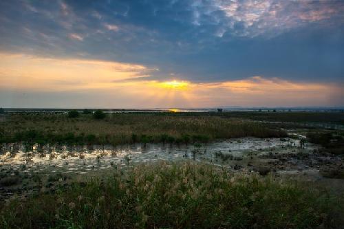 欽州茅尾海紅樹林生態濕地
