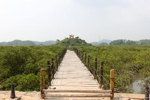 欽州茅尾海紅樹林生態(tài)濕地