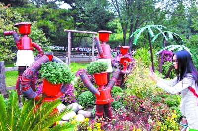 最大菊花海蕩漾植物園 景觀造型樹環保理念